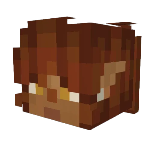 W4RP4TH Minecraft avatar head, 3D render