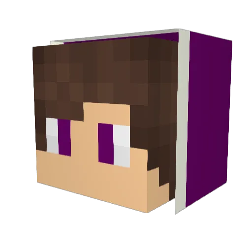 W4ayReN Minecraft avatar head, 3D render