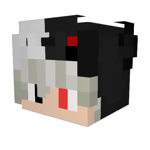 W4drid_The_Gam3r Minecraft avatar head, 3D render