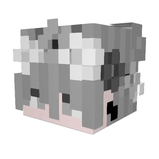 W4nsy Minecraft avatar head, 3D render