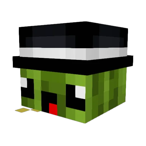 W4t3rM3lon Minecraft avatar head, 3D render