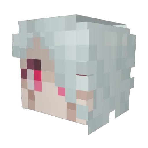 W4terB0ttle Minecraft avatar head, 3D render