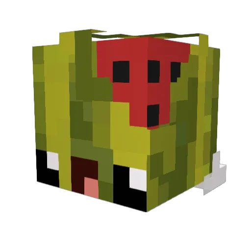 W4trM3lon Minecraft avatar head, 3D render