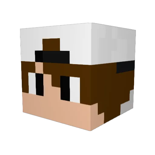 W4ynjuckt3s Minecraft avatar head, 3D render
