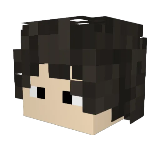W6rst69 Minecraft avatar head, 3D render