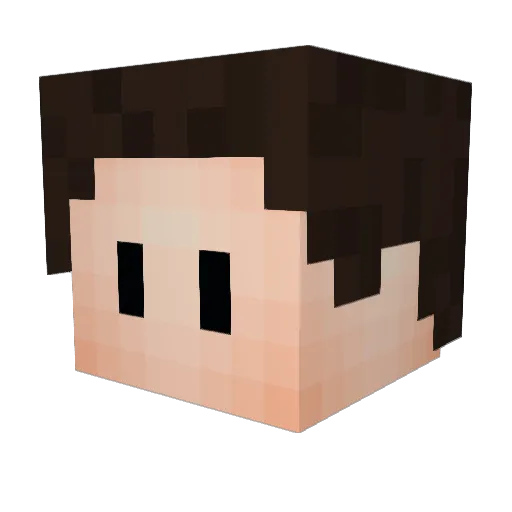 W6s Minecraft avatar head, 3D render