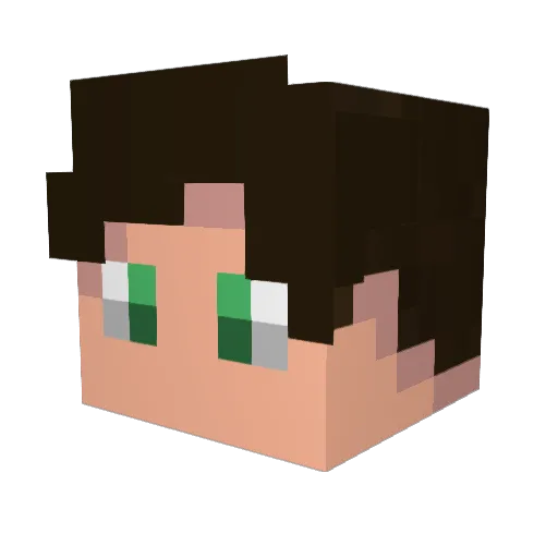 W85_ Minecraft avatar head, 3D render