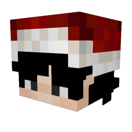 W8ER Minecraft avatar head, 3D render