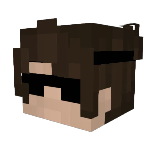 W9VY Minecraft avatar head, 3D render