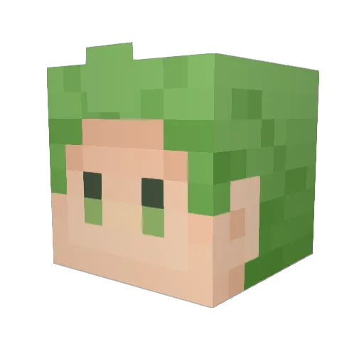 WAC81 Minecraft avatar head, 3D render