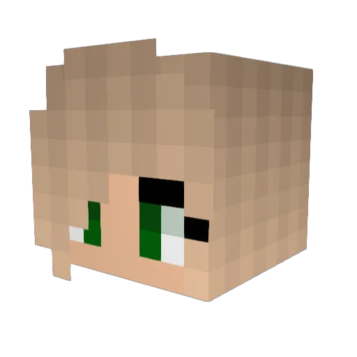 WACK_C1TY_23 Minecraft avatar head, 3D render