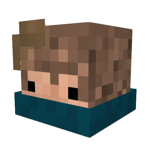 WADIX7 Minecraft avatar head, 3D render