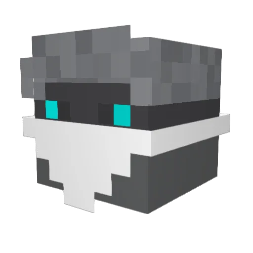 WADOW_64 Minecraft avatar head, 3D render