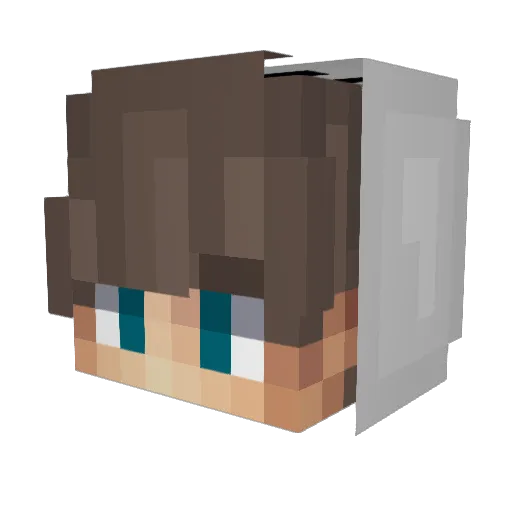 WAE77 Minecraft avatar head, 3D render