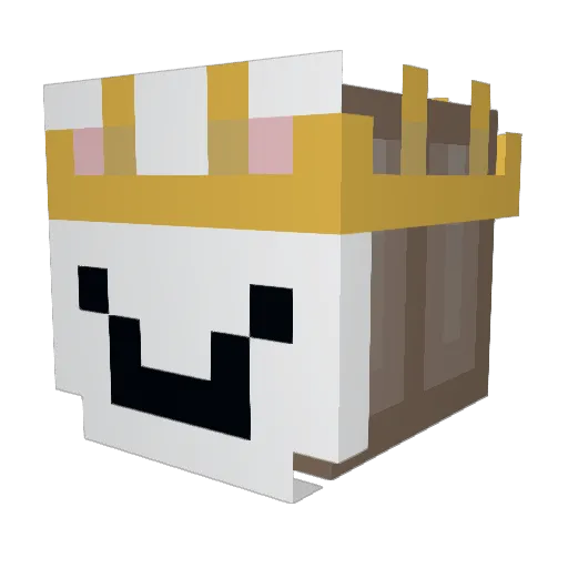WAFFLEWARRRIOR1 Minecraft avatar head, 3D render