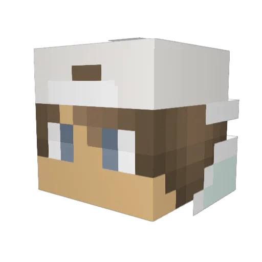 WAG0815 Minecraft avatar head, 3D render