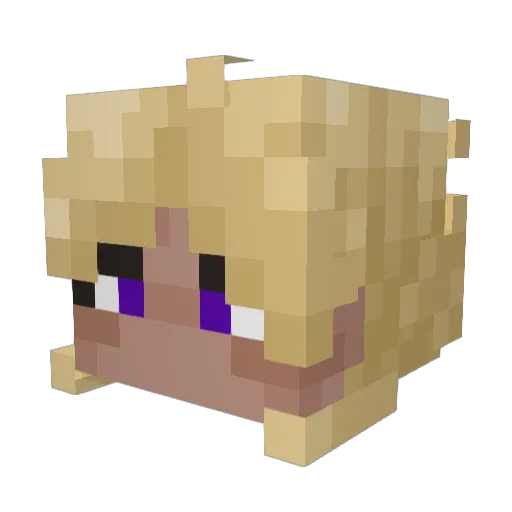 WAHTHE Minecraft avatar head, 3D render