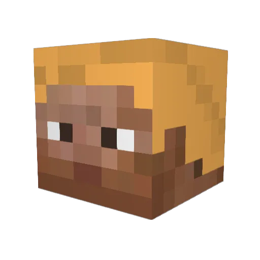 WAITWHAT_123 Minecraft avatar head, 3D render