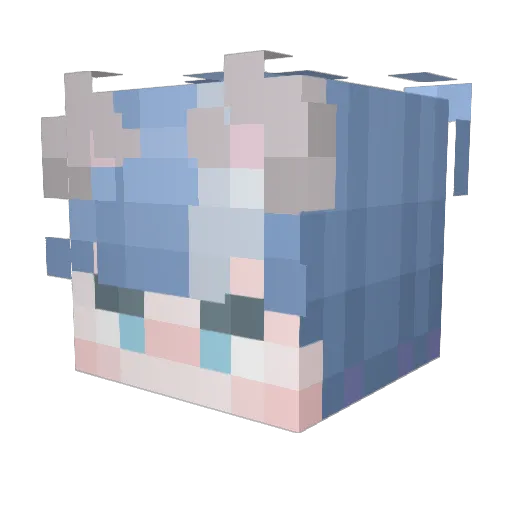 WAK_DARWIN Minecraft avatar head, 3D render