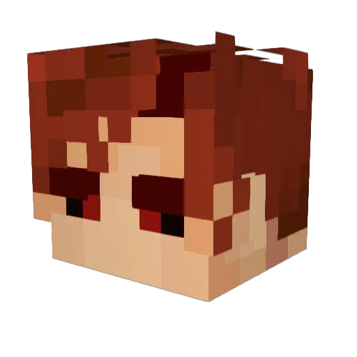 WALKINGBLAZE Minecraft avatar head, 3D render