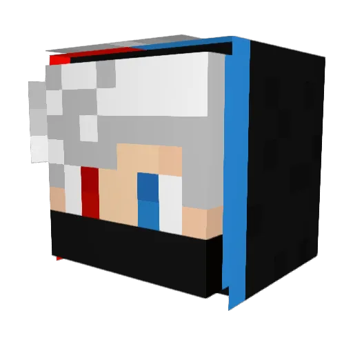 WALL61 Minecraft avatar head, 3D render