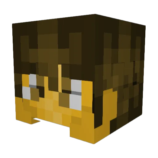 WALracingjr Minecraft avatar head, 3D render