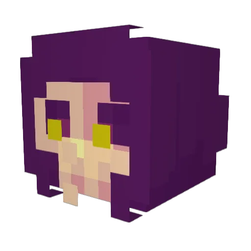 WANDERXYZ Minecraft avatar head, 3D render