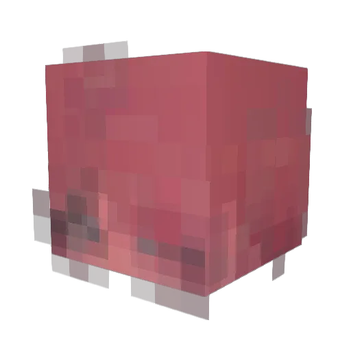 WANGDAGE Minecraft avatar head, 3D render