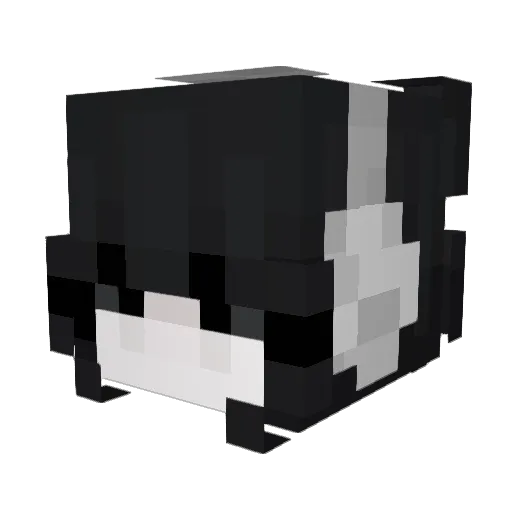 WANG_Bata Minecraft avatar head, 3D render