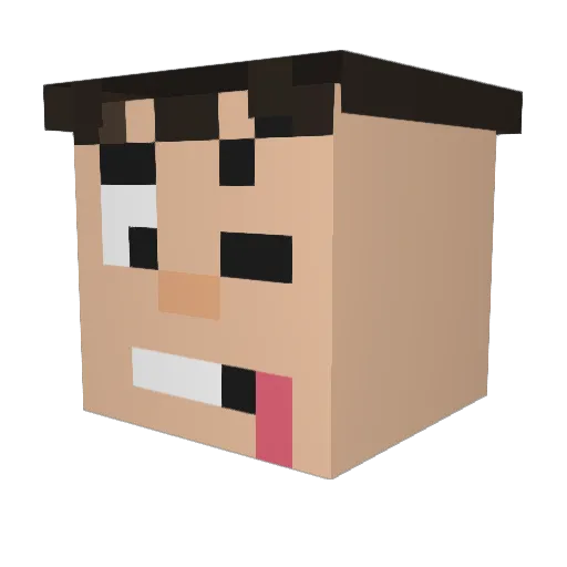 WANSUKKRI Minecraft avatar head, 3D render