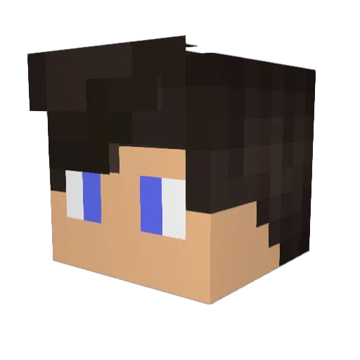 WARDANAS Minecraft avatar head, 3D render