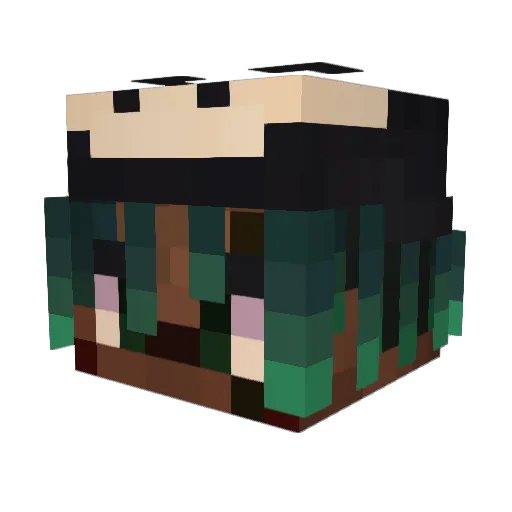 WARDOG_OFFICIAL Minecraft avatar head, 3D render