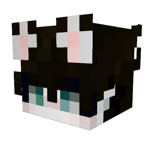 WAREQ_54 Minecraft avatar head, 3D render