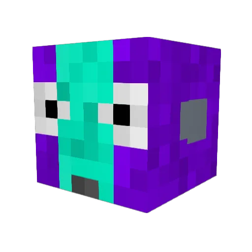 WARN1NG Minecraft avatar head, 3D render