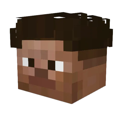 WASEEN Minecraft avatar head, 3D render