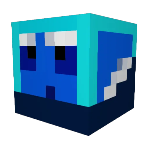 WATERBOY_091 Minecraft avatar head, 3D render