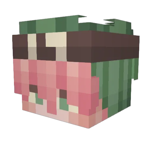 WATERMELON_YI Minecraft avatar head, 3D render