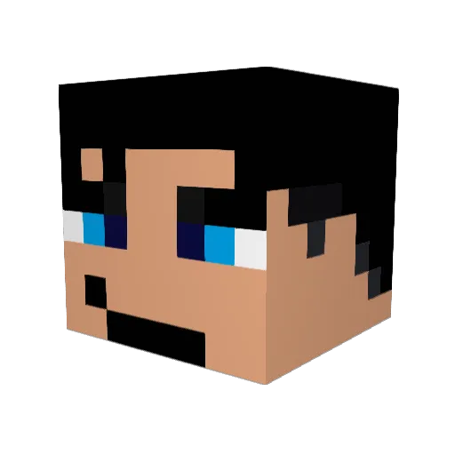 WATYx6 Minecraft avatar head, 3D render