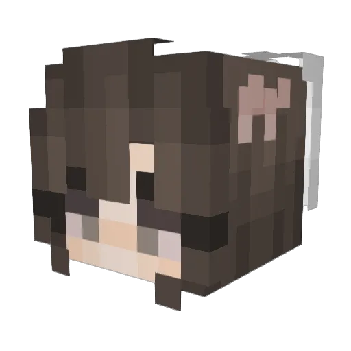 WATareyoudoin Minecraft avatar head, 3D render
