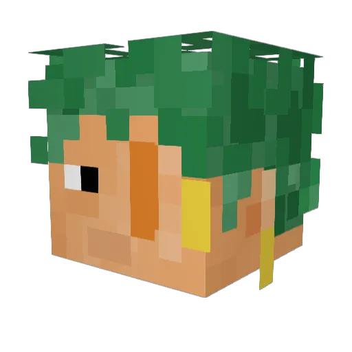 WAVSAN Minecraft avatar head, 3D render