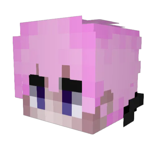WA_HEART Minecraft avatar head, 3D render