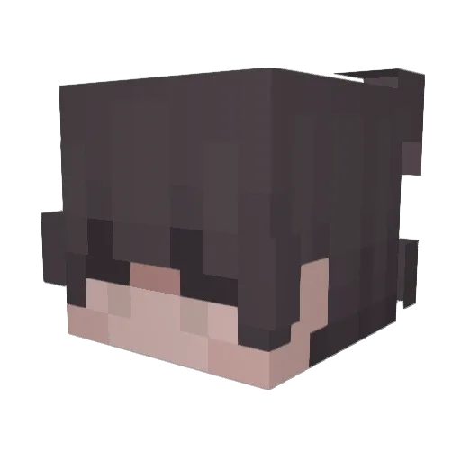 WAlbireo Minecraft avatar head, 3D render