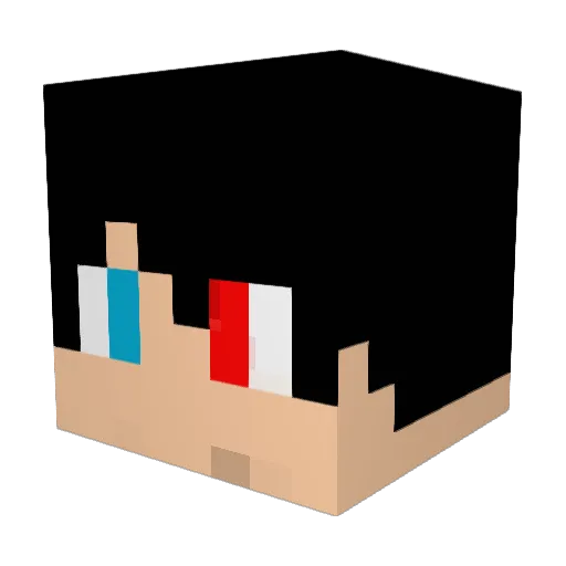 WB13 Minecraft avatar head, 3D render