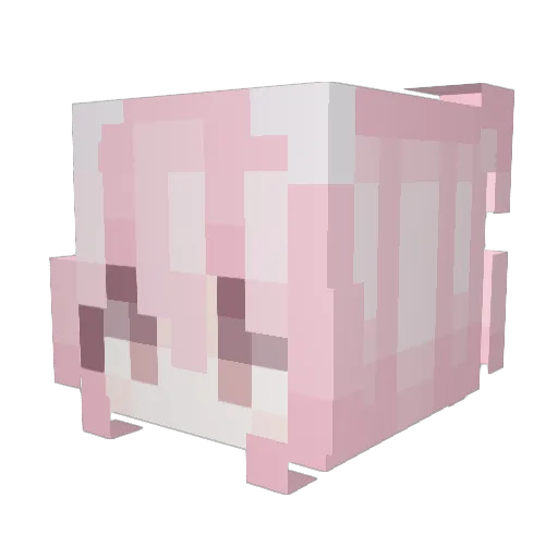 WBSZO Minecraft avatar head, 3D render