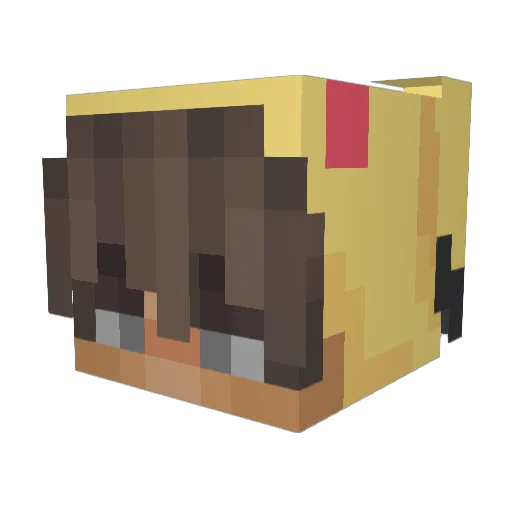 WBSoul Minecraft avatar head, 3D render