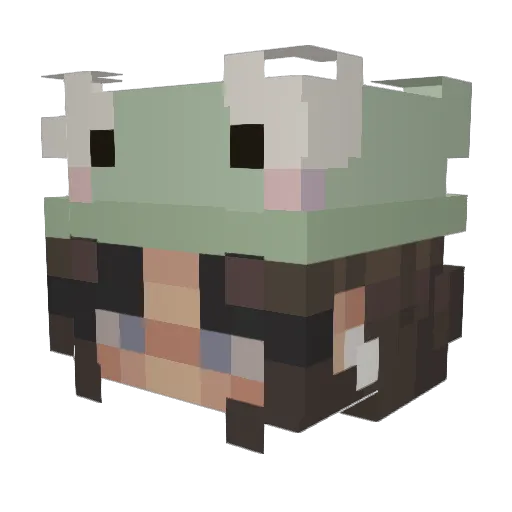 WBUBBLE_BUSTER Minecraft avatar head, 3D render