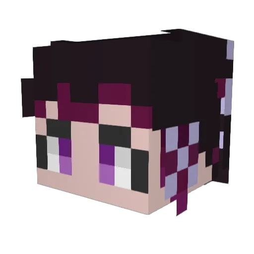 WCD5 Minecraft avatar head, 3D render