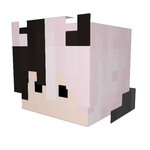 WCDC Minecraft avatar head, 3D render