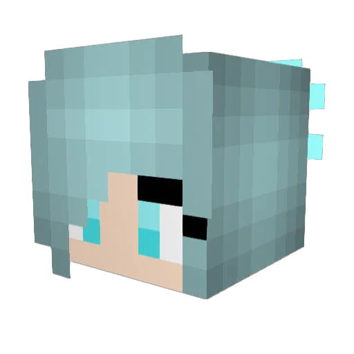 WCLSM2 Minecraft avatar head, 3D render