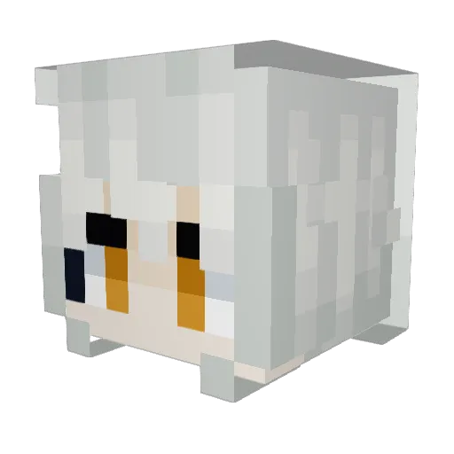 WCatCat Minecraft avatar head, 3D render